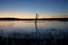 200601_Bosque_05