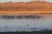 200601_Bosque_07