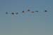 200601_Bosque_08