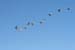 200601_Bosque_09
