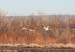 200601_Bosque_12