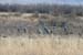 200601_Bosque_13