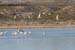 200601_Bosque_14