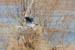 200601_Bosque_19