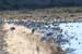 200601_Bosque_21