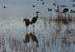 200601_Bosque_22