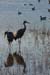 200601_Bosque_22A