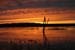 200601_Bosque_24
