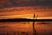 200601_Bosque_24A