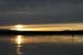200601_Bosque_25