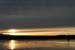 200601_Bosque_25A