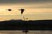 200601_Bosque_26