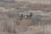 200601_Bosque_27