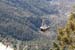 200601_Bosque_28