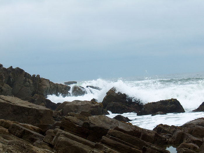 200610b_Santa_Cruz_06
