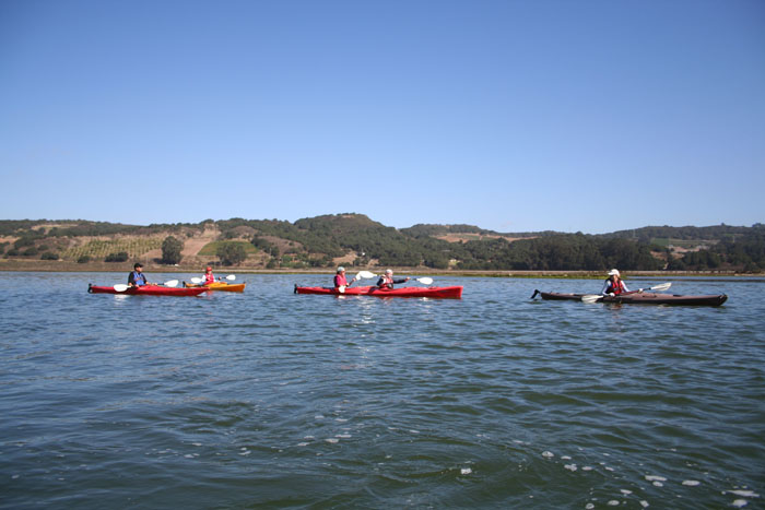 200610c_Elkhorn_Slough_16