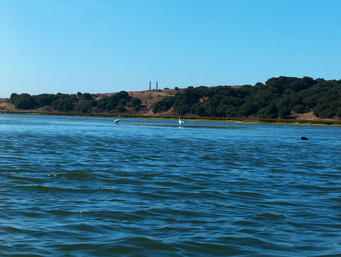 200610c_Elkhorn_Slough_18