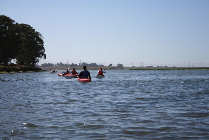 200610c_Elkhorn_Slough_23