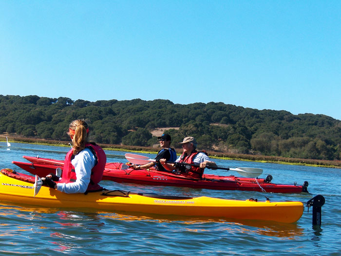 200610c_Elkhorn_Slough_33