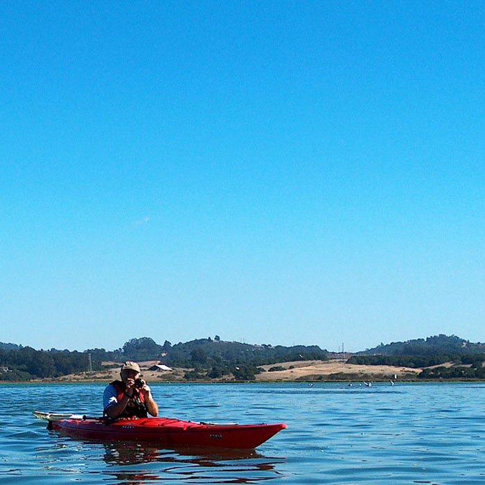 200610c_Elkhorn_Slough_37