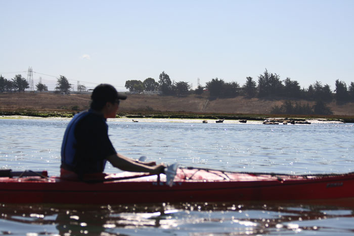 200610c_Elkhorn_Slough_38