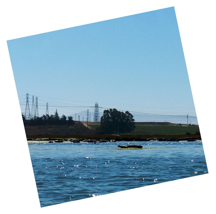 200610c_Elkhorn_Slough_39