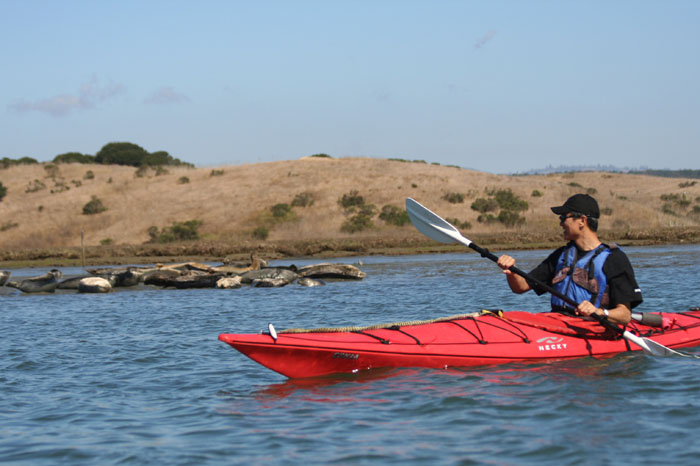 200610c_Elkhorn_Slough_45