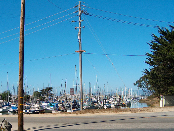 200610c_Elkhorn_Slough_69