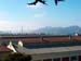 200610a_San_Francisco_05