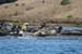200610c_Elkhorn_Slough_41