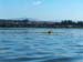 200610c_Elkhorn_Slough_42