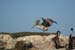 200610c_Elkhorn_Slough_57