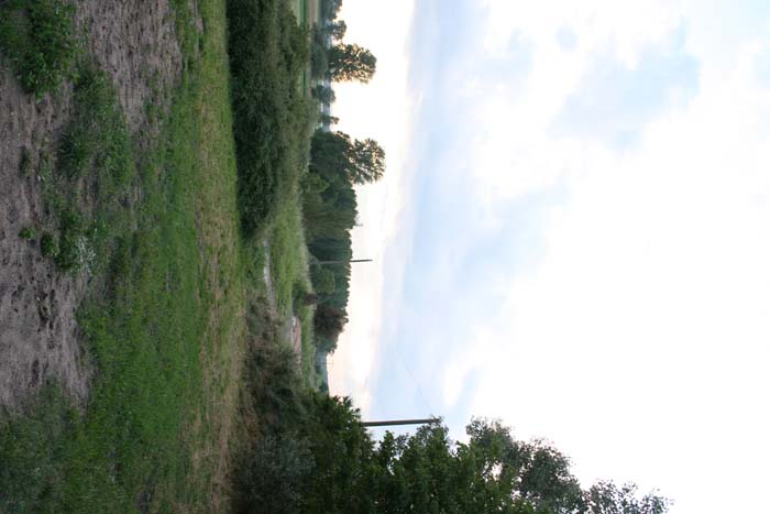 20070515_048