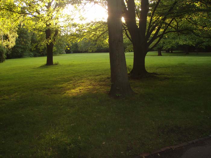20070517_178