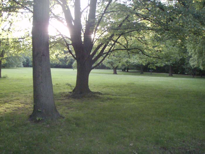 20070517_179
