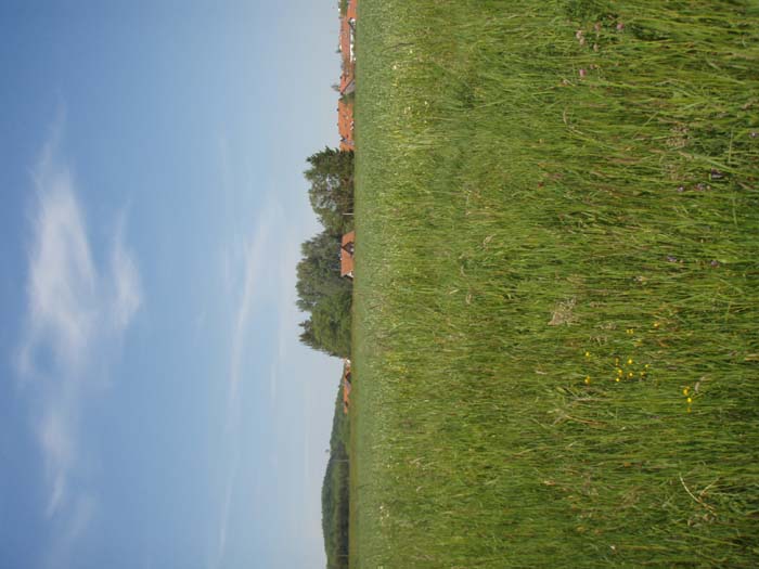 20070518GK124