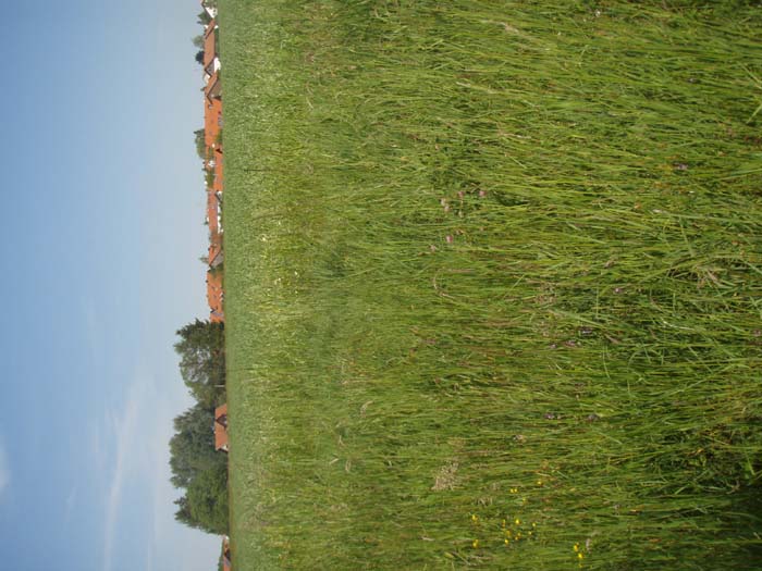 20070518GK126