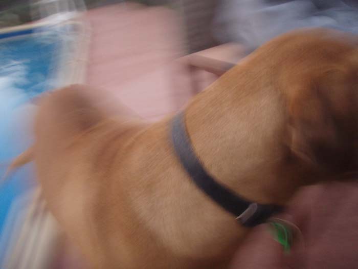 20070518GK334