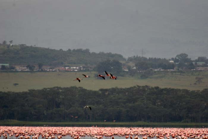 20070614_16