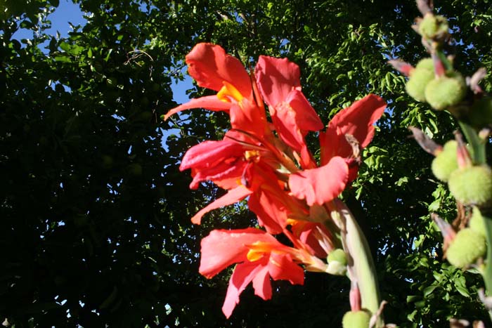 20070804_22
