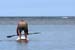 200802C_Kauai_09