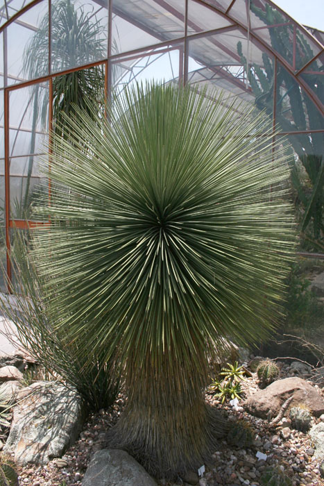 20080419_05