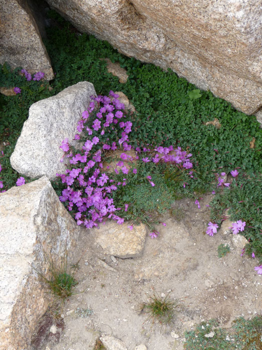 200808_Whitney_055