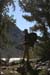 200808_Whitney_005