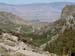 200808_Whitney_025