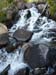 200808_Whitney_026