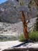 200808_Whitney_034