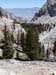 200808_Whitney_037