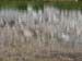 200808_Whitney_042