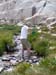 200808_Whitney_047